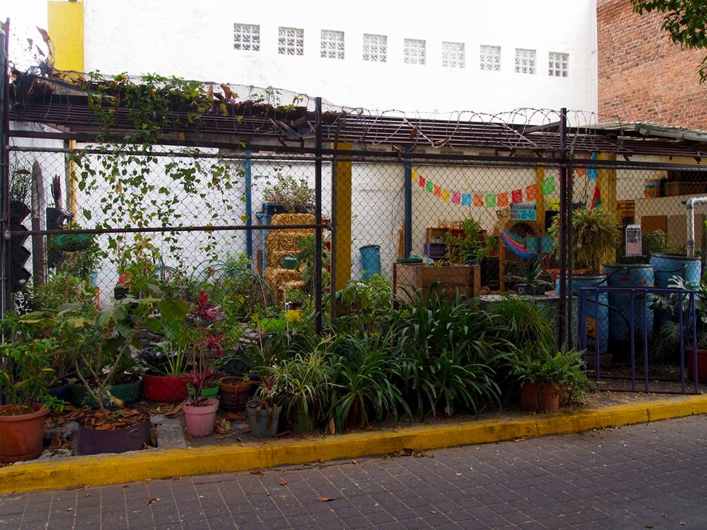 Romita 06 Huerto Urbano