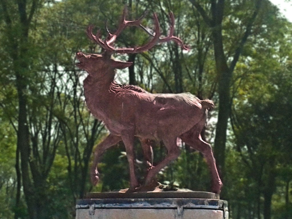 Parque de los Venados en México