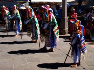 Danza de los Viejitos 5